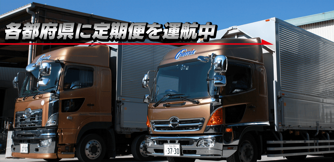 各都道府県に定期便を運航中