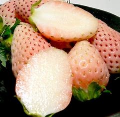 いちご画像