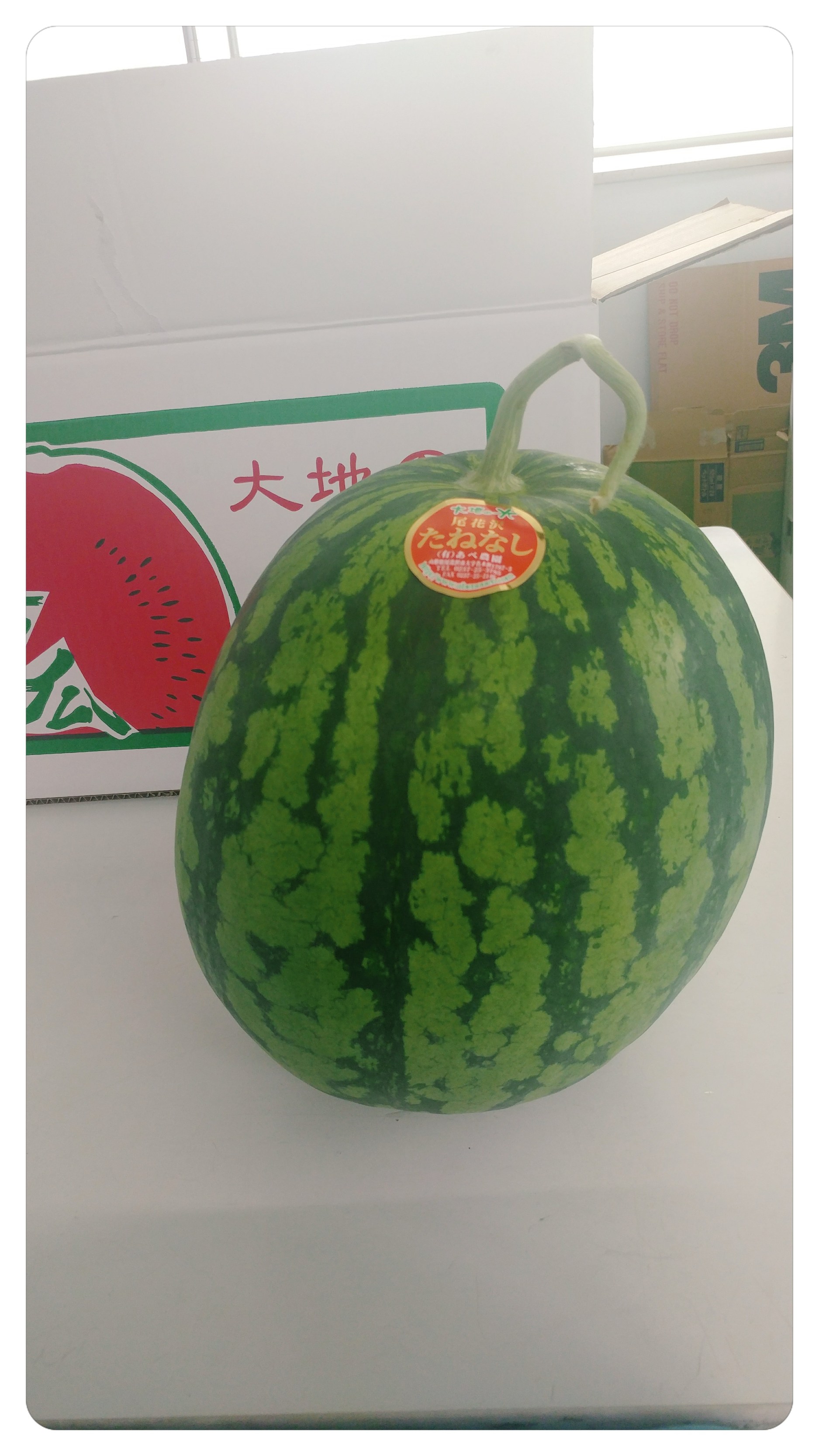スイカ