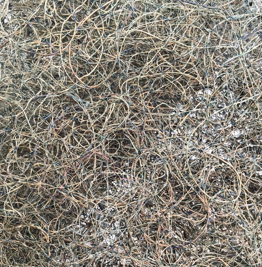 各種フィルター取扱い