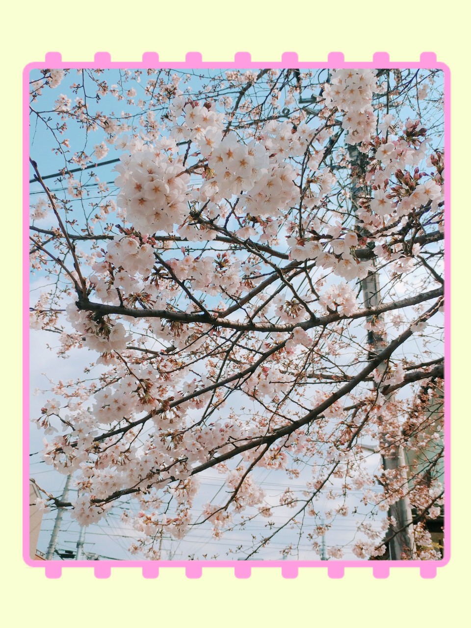 散歩中