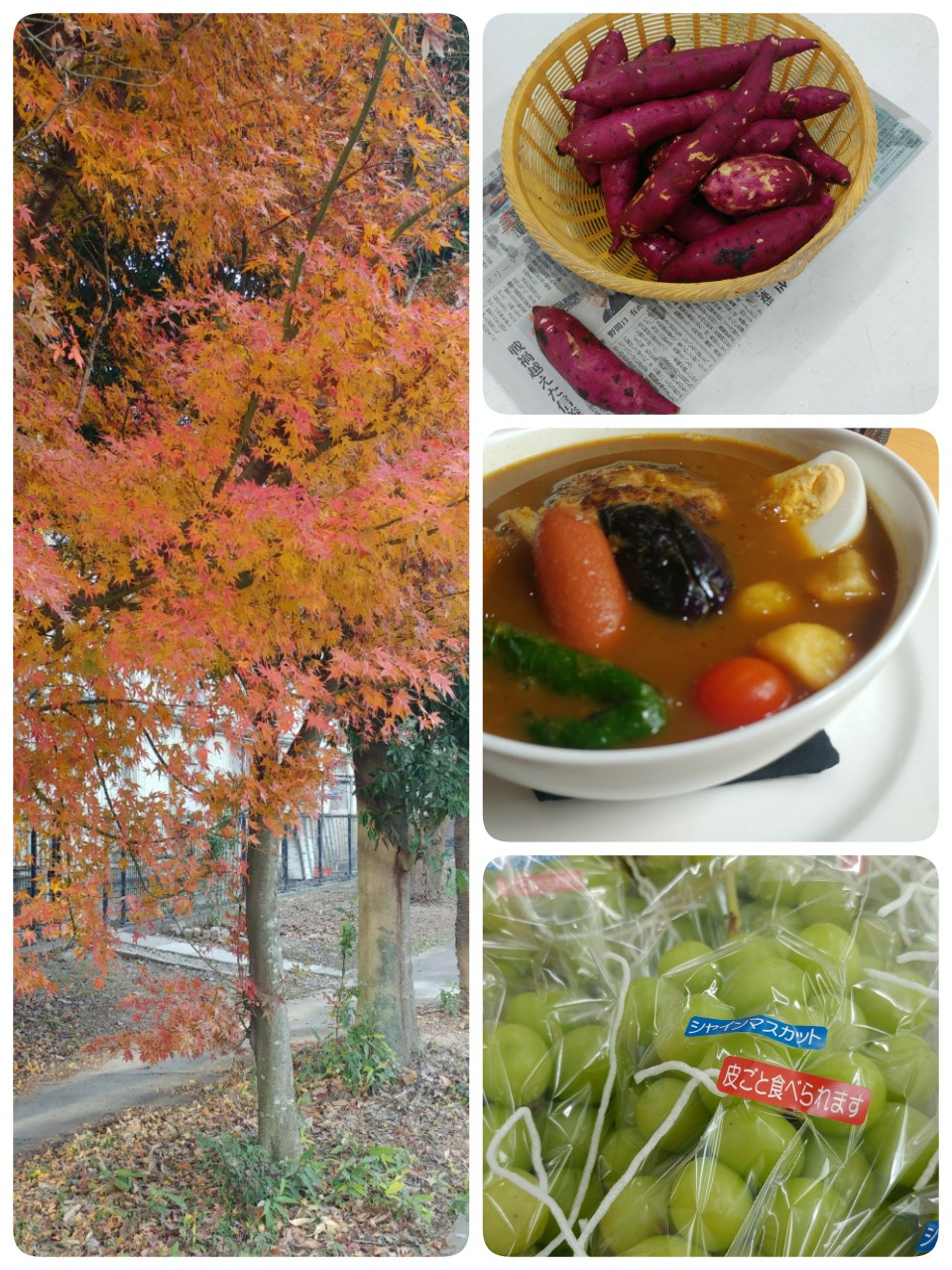 20.カレー