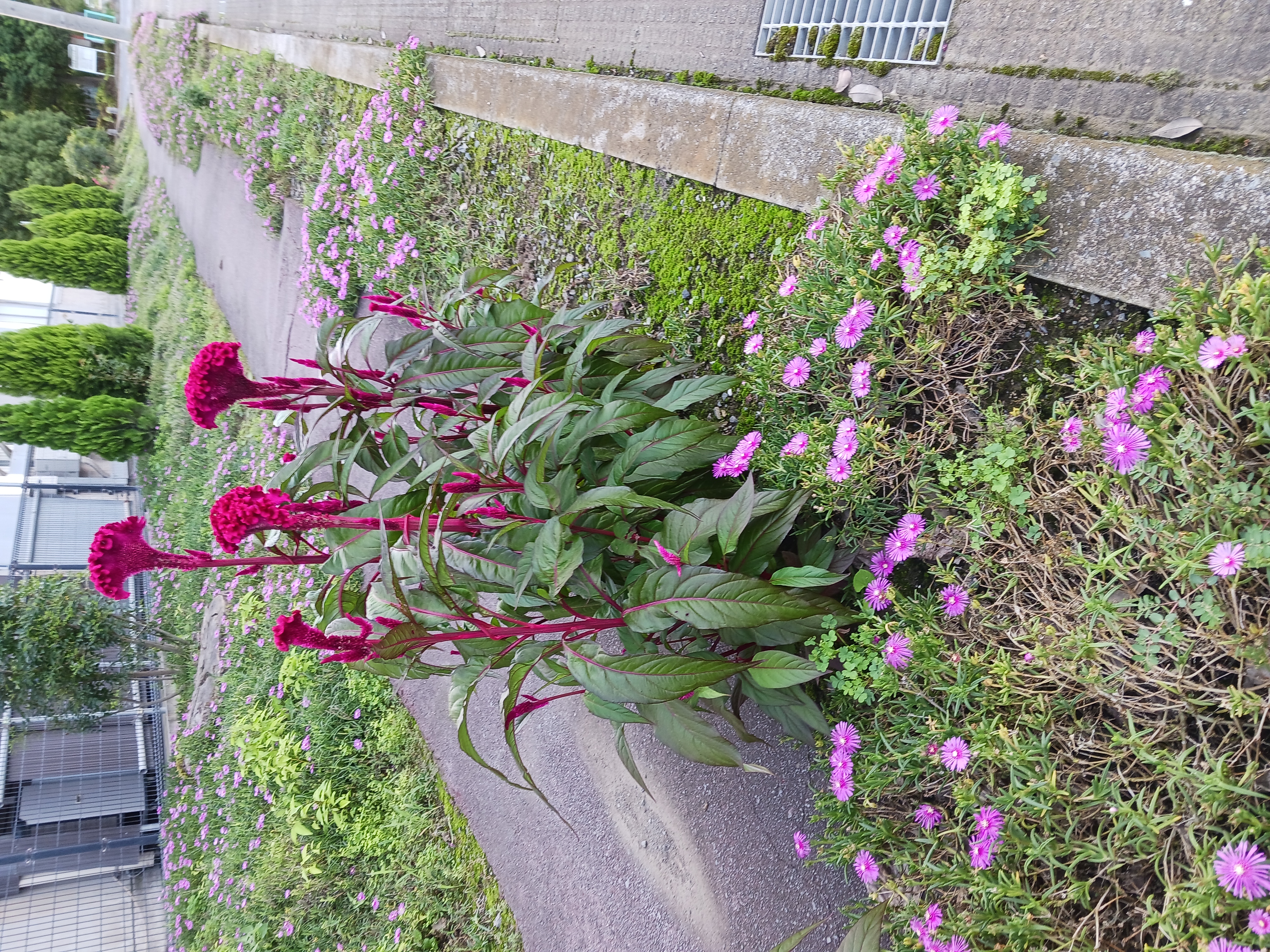 涼しい９月