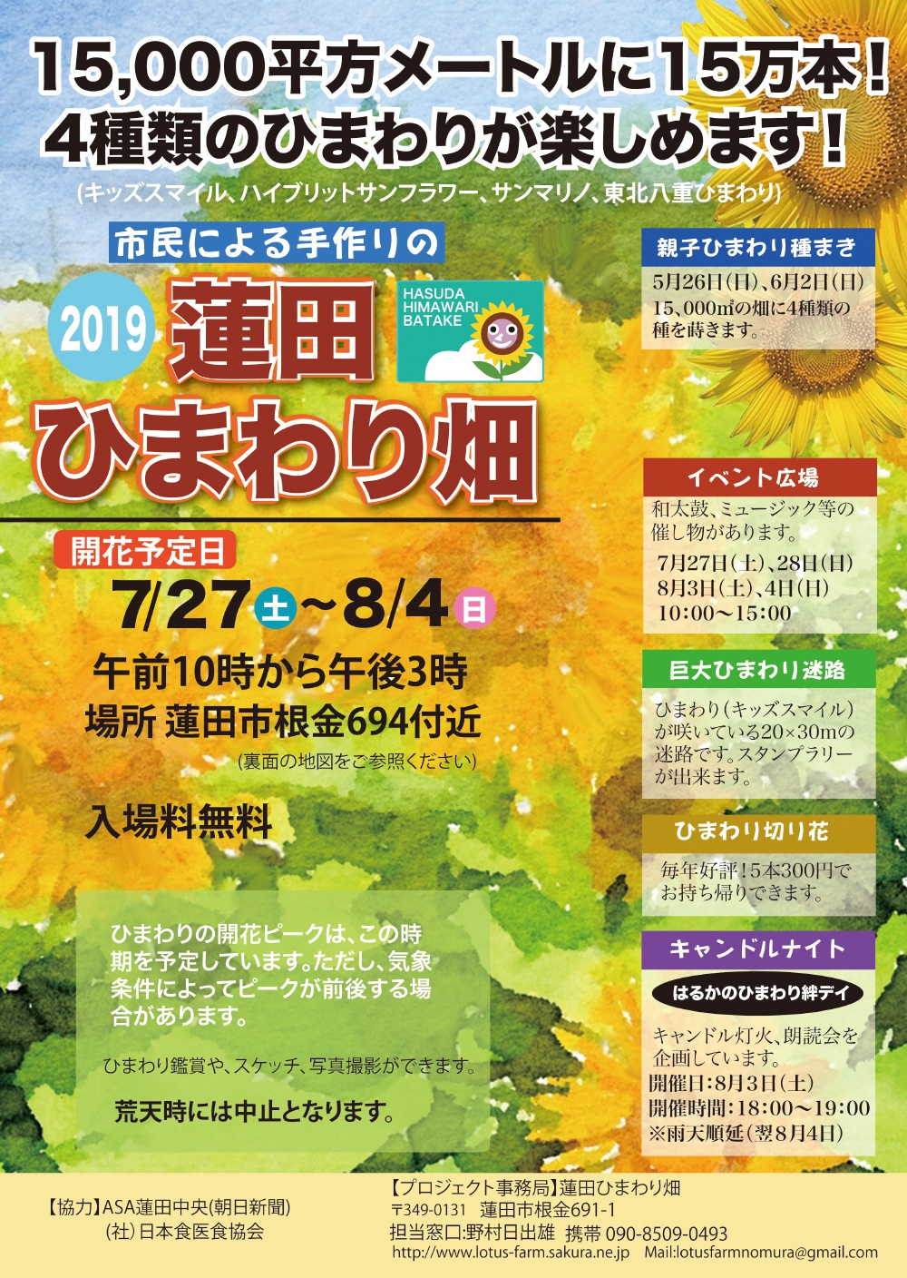 蓮田ひまわり